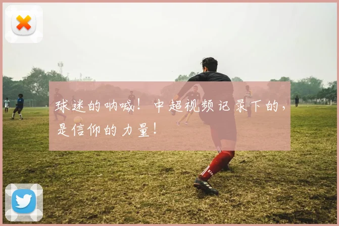 球迷的呐喊!中超视频记录下的,是信仰的力量!
