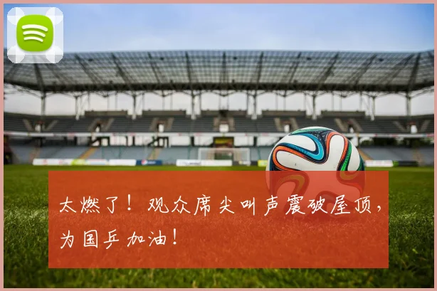 太燃了!观众席尖叫声震破屋顶,为国乒加油!